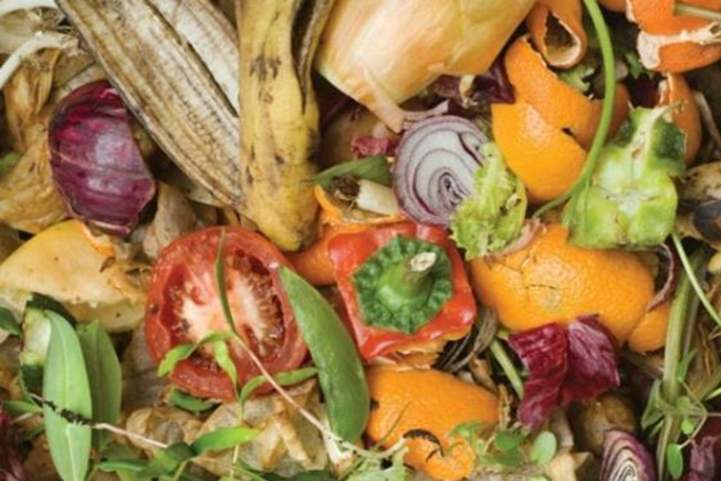 Food Waste Recycling Manchester